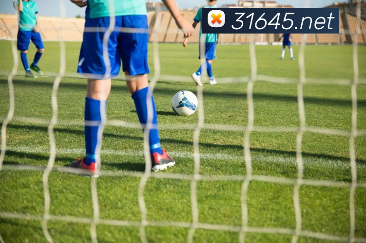 App Interface Preview